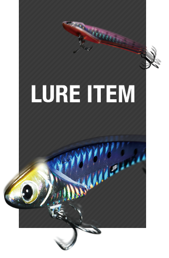 LURE ITEM