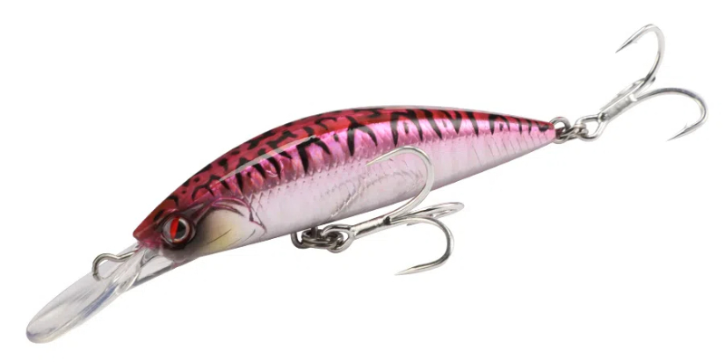 SAGOSHI 70FS